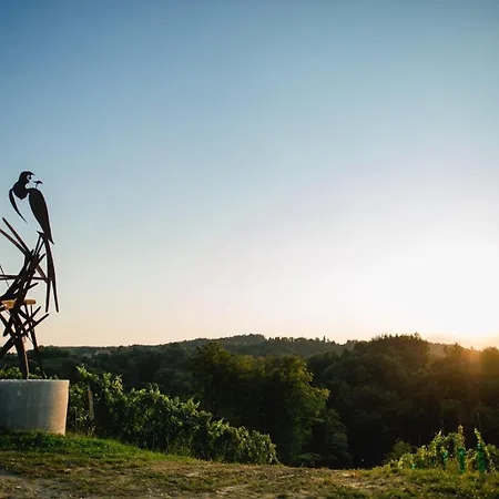 Feriegård Gaestezimmer Weingut Pongratz Am Kranachberg