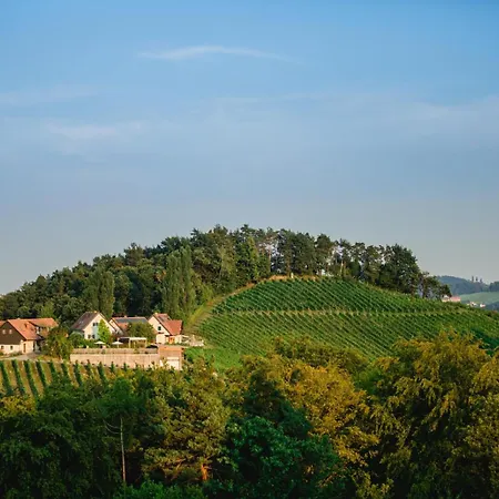 Gaestezimmer Weingut Pongratz Am Kranachberg