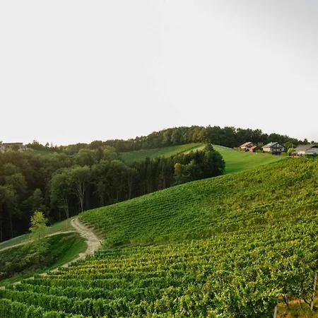 Gaestezimmer Weingut Pongratz Am Kranachberg Gamlitz